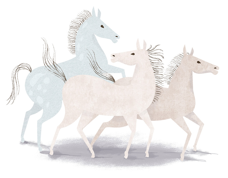 Белые лошадки песня. Три белых коня. Белый конь. Лошадь на белом фоне. Тройка белых лошадей.
